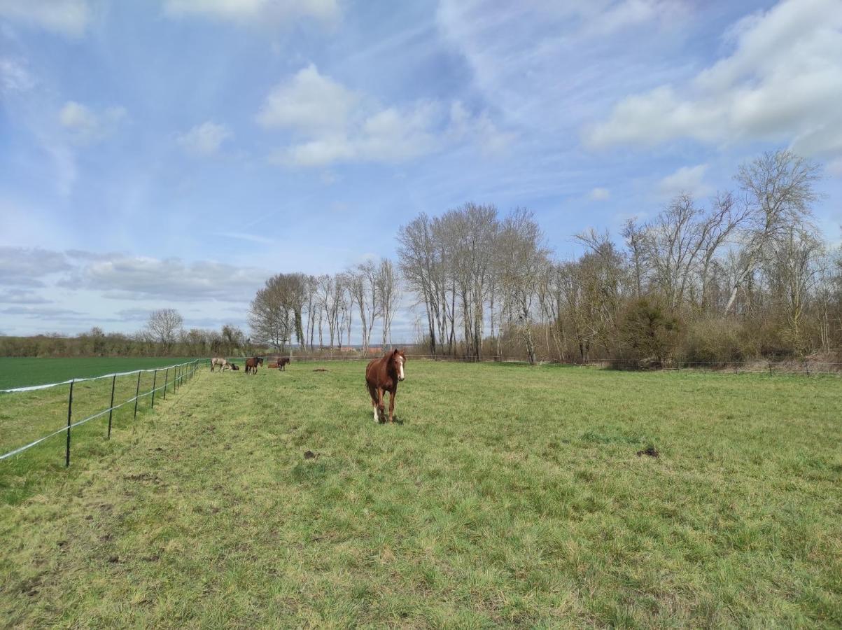 Vila Le Moulin Neuf Brienon-sur-Armançon Exteriér fotografie