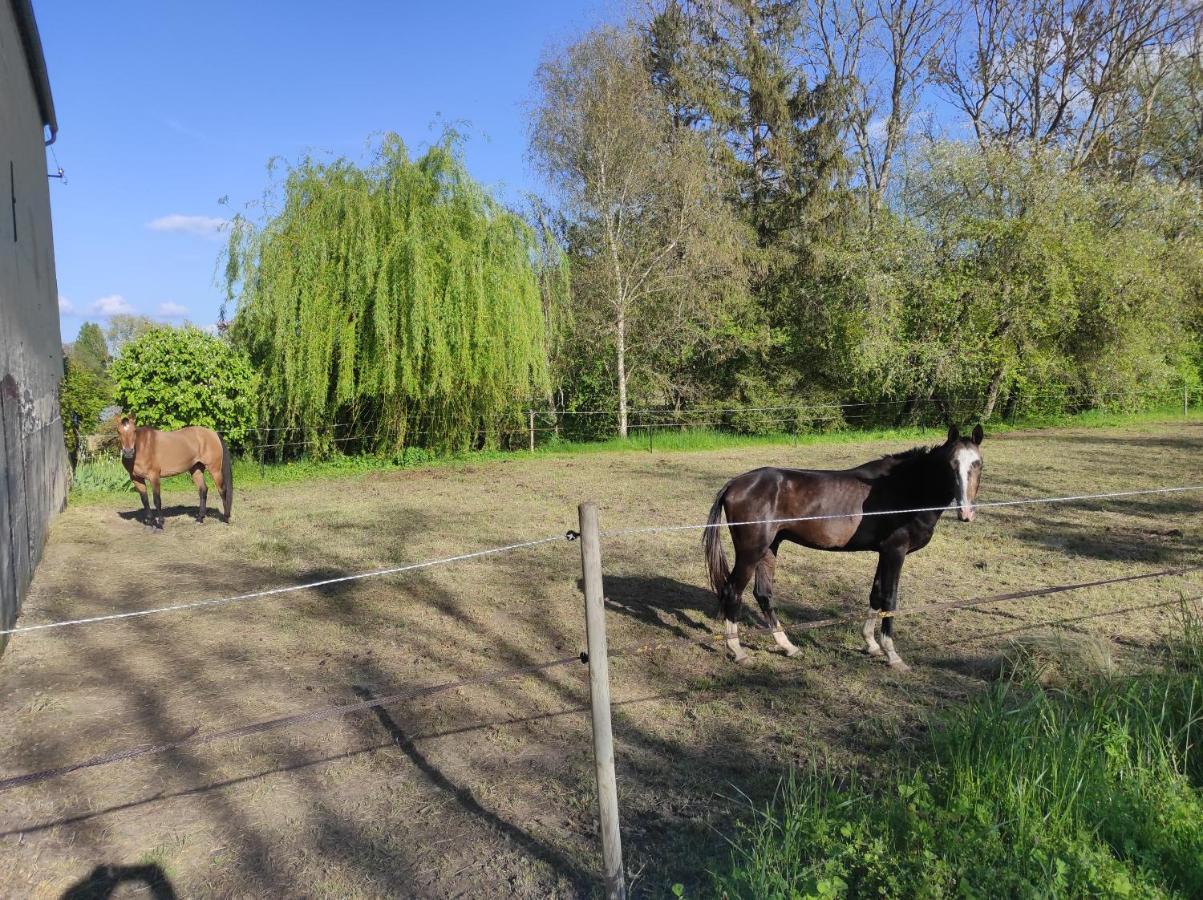 Vila Le Moulin Neuf Brienon-sur-Armançon Exteriér fotografie