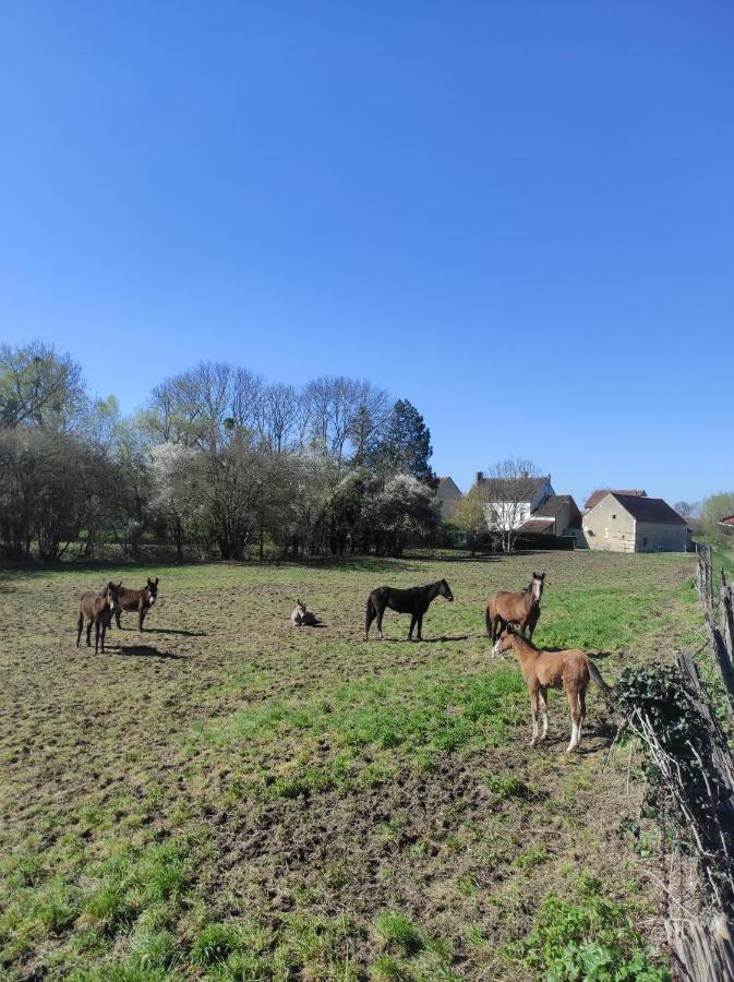 Vila Le Moulin Neuf Brienon-sur-Armançon Exteriér fotografie