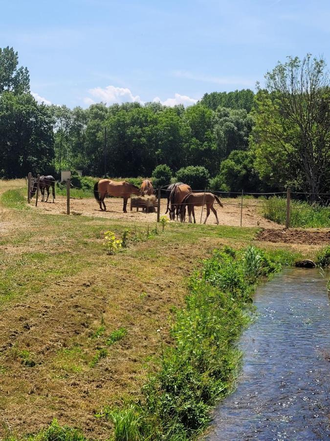 Vila Le Moulin Neuf Brienon-sur-Armançon Exteriér fotografie
