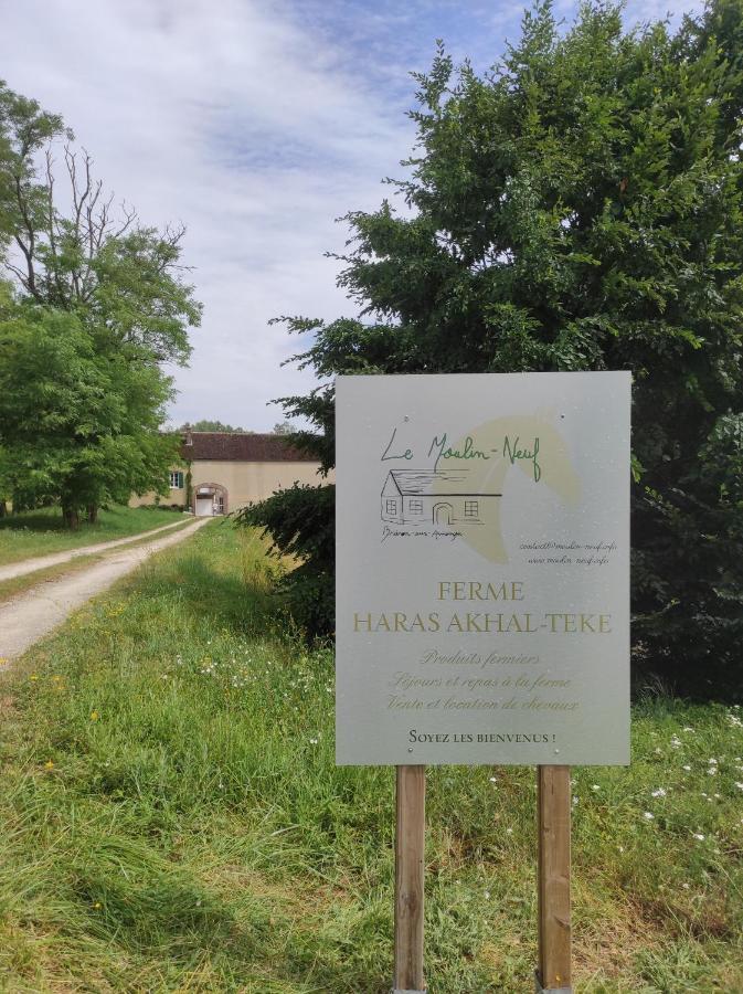 Vila Le Moulin Neuf Brienon-sur-Armançon Exteriér fotografie